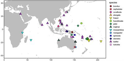 Museum Genomics Illuminate the High Specificity of a Bioluminescent Symbiosis for a Genus of Reef Fish
